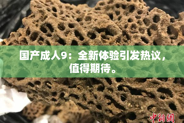 国产成人9：全新体验引发热议，值得期待。
