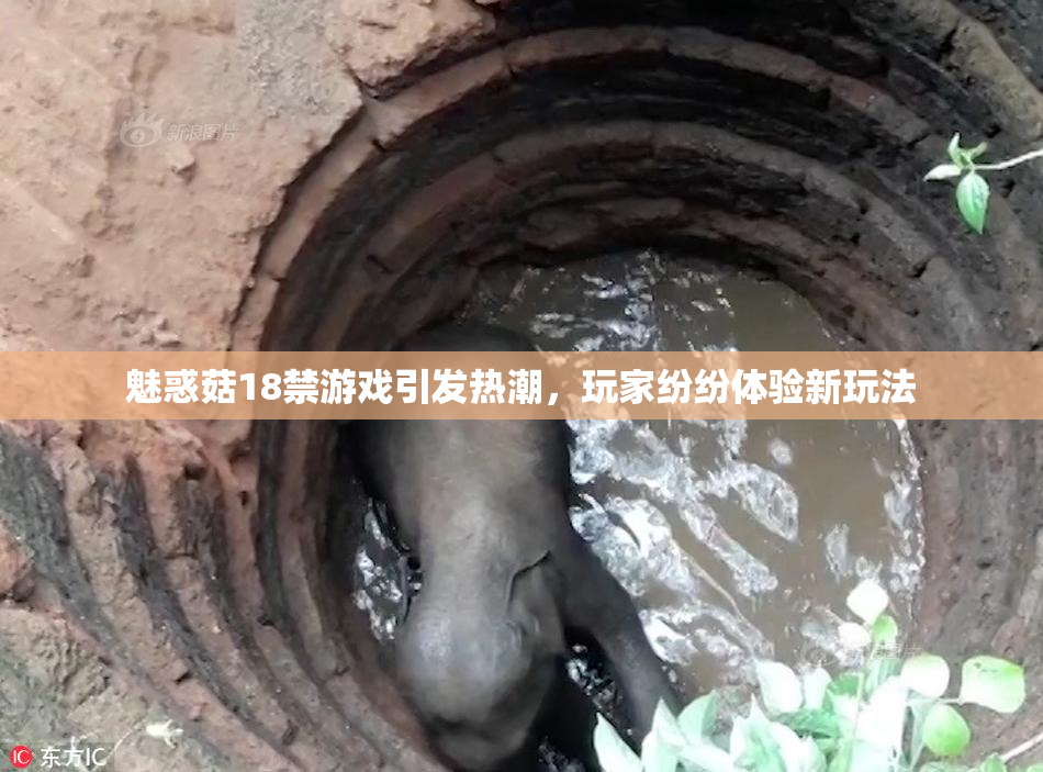 魅惑菇18禁游戏引发热潮，玩家纷纷体验新玩法