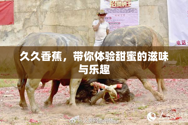 久久香蕉，带你体验甜蜜的滋味与乐趣