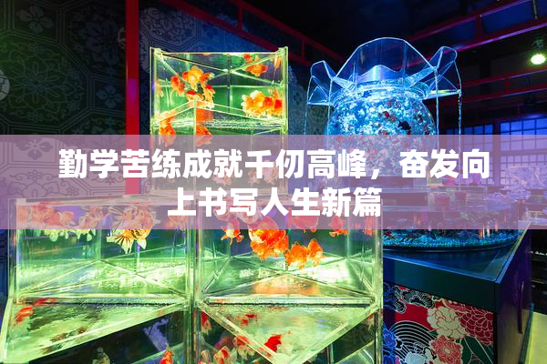 勤学苦练成就千仞高峰，奋发向上书写人生新篇