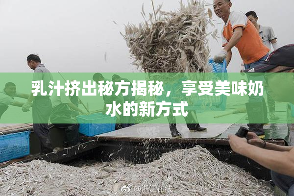 乳汁挤出秘方揭秘，享受美味奶水的新方式