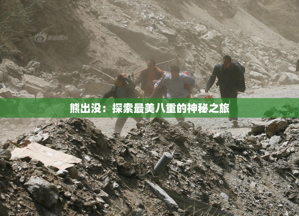 熊出没：探索最美八重的神秘之旅