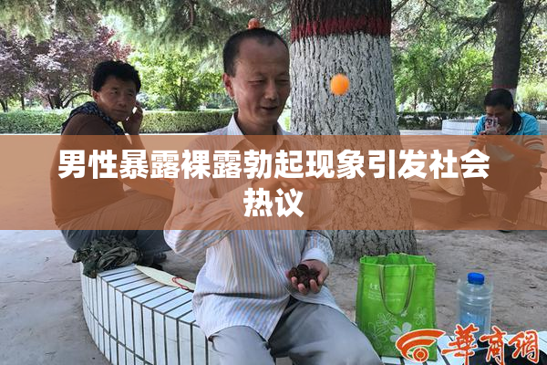 男性暴露裸露勃起现象引发社会热议