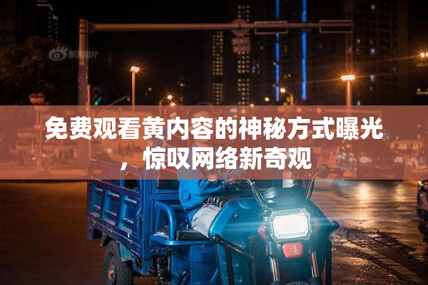免费观看黄内容的神秘方式曝光，惊叹网络新奇观