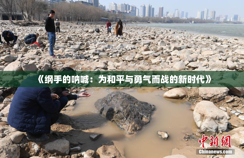 《纲手的呐喊：为和平与勇气而战的新时代》