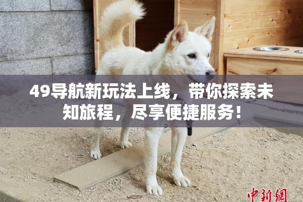 49导航新玩法上线，带你探索未知旅程，尽享便捷服务！