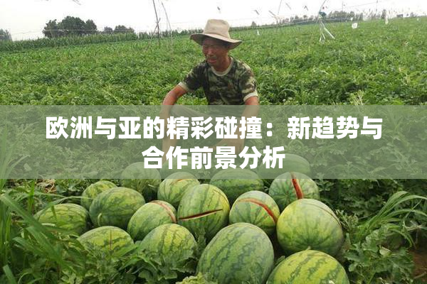 欧洲与亚的精彩碰撞：新趋势与合作前景分析