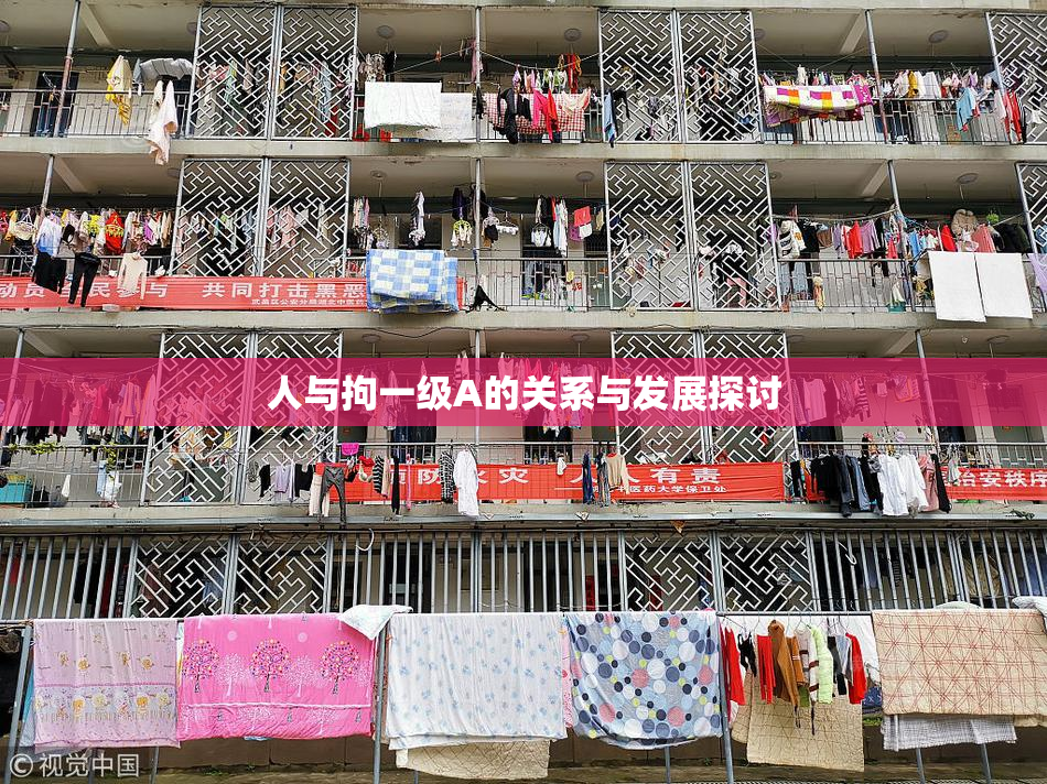 人与拘一级A的关系与发展探讨