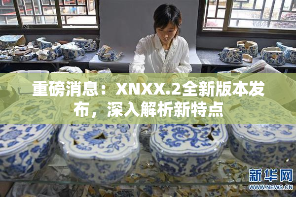 重磅消息：XNXX.2全新版本发布，深入解析新特点