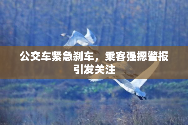 公交车紧急刹车，乘客强摁警报引发关注