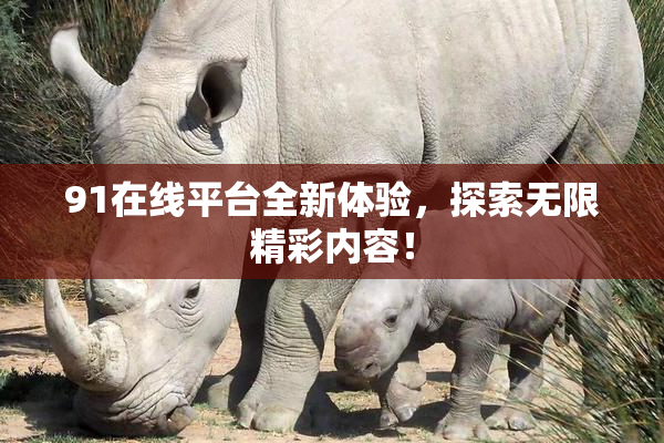 91在线平台全新体验，探索无限精彩内容！