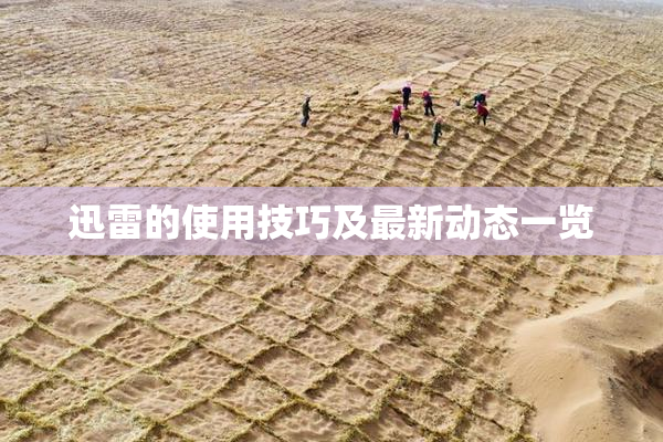 迅雷的使用技巧及最新动态一览