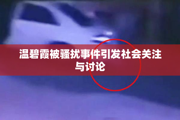 温碧霞被骚扰事件引发社会关注与讨论