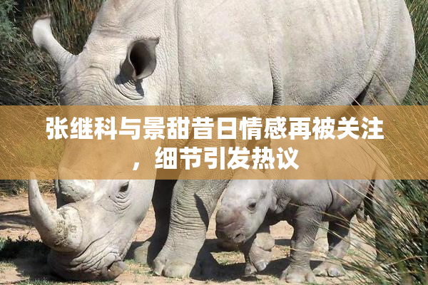 张继科与景甜昔日情感再被关注，细节引发热议