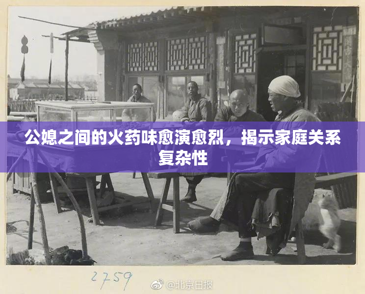 公媳之间的火药味愈演愈烈，揭示家庭关系复杂性