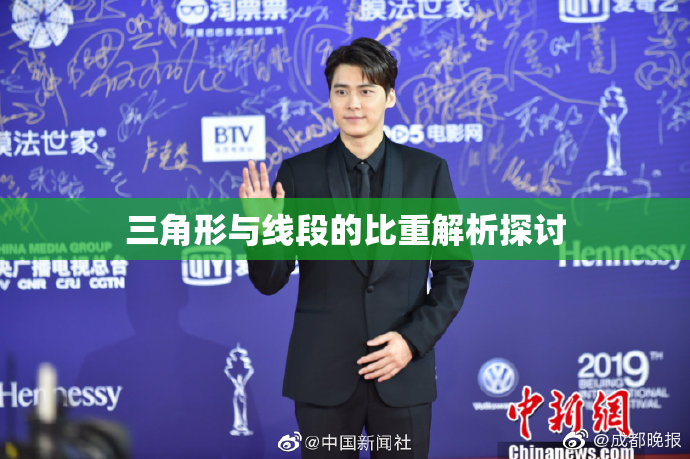 三角形与线段的比重解析探讨