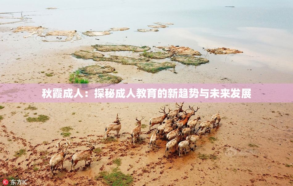 秋霞成人：探秘成人教育的新趋势与未来发展