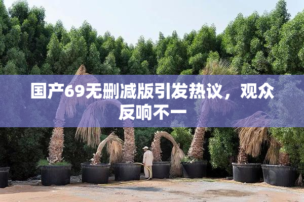国产69无删减版引发热议，观众反响不一