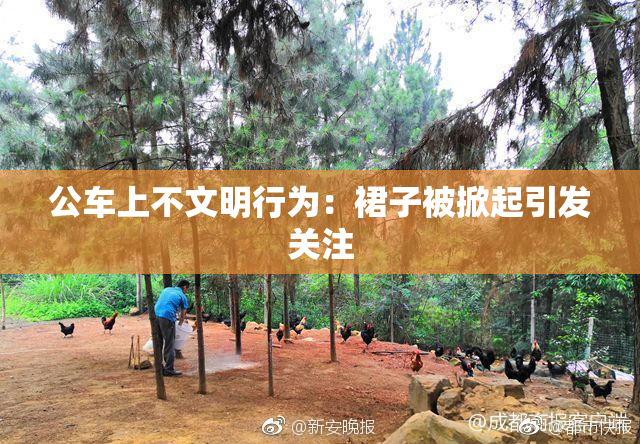 公车上不文明行为：裙子被掀起引发关注