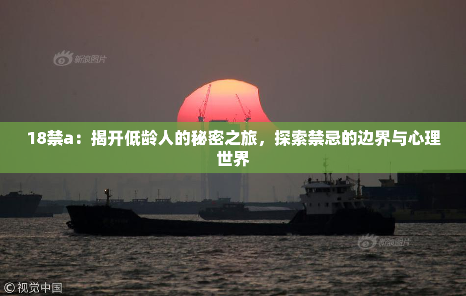 18禁a：揭开低龄人的秘密之旅，探索禁忌的边界与心理世界