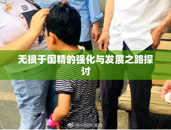 无损于国精的强化与发展之路探讨