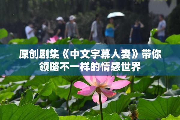 原创剧集《中文字幕人妻》带你领略不一样的情感世界