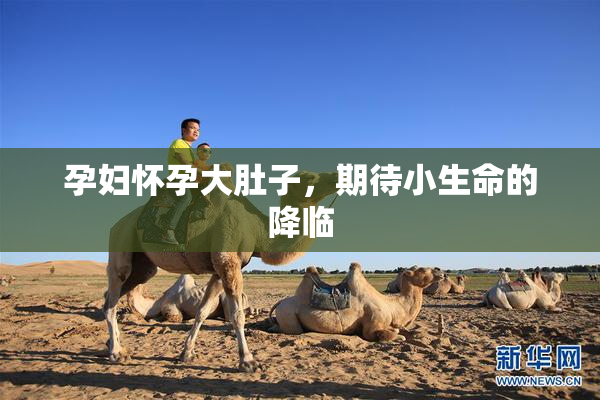 孕妇怀孕大肚子，期待小生命的降临