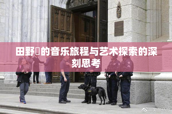 田野憂的音乐旅程与艺术探索的深刻思考