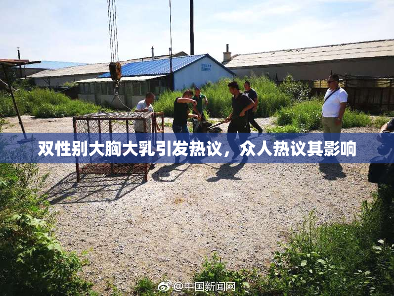 双性别大胸大乳引发热议，众人热议其影响