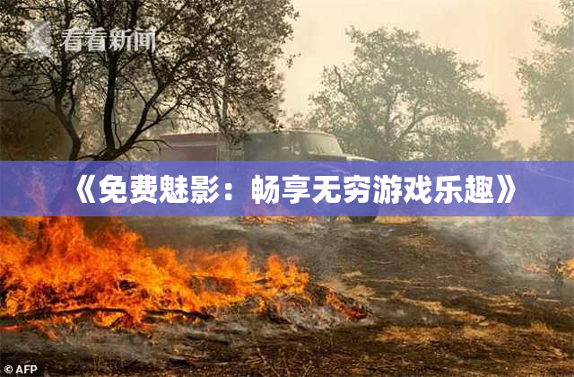 《免费魅影：畅享无穷游戏乐趣》