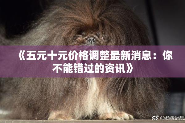 《五元十元价格调整最新消息：你不能错过的资讯》