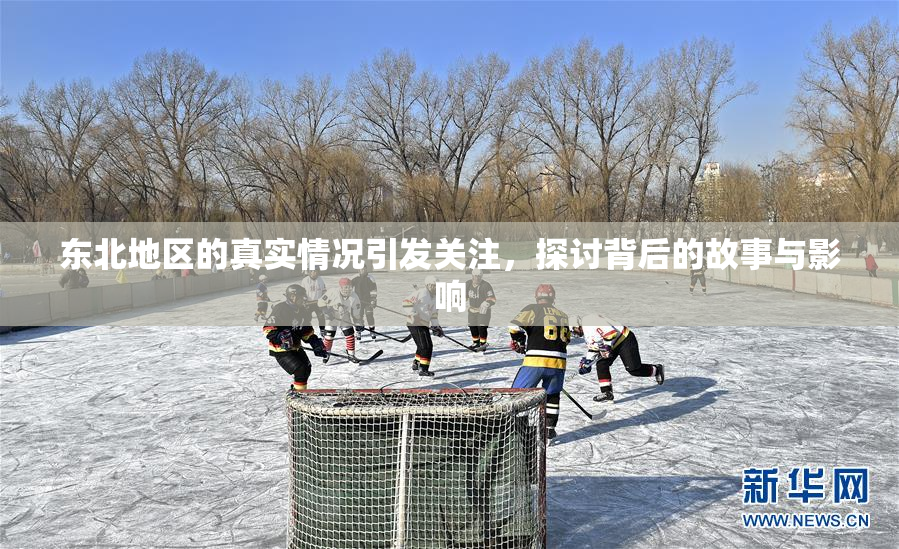 东北地区的真实情况引发关注，探讨背后的故事与影响