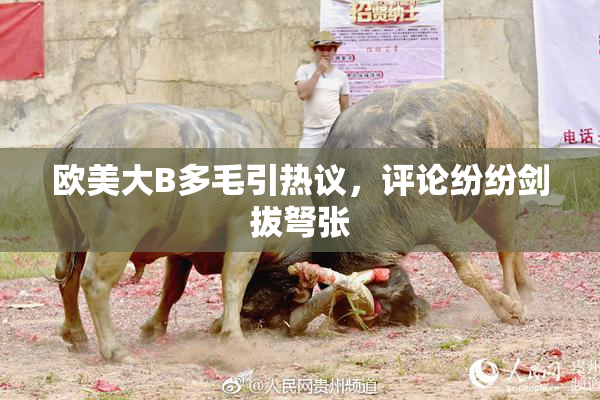 欧美大B多毛引热议，评论纷纷剑拔弩张
