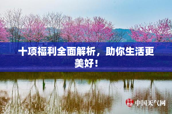 十项福利全面解析，助你生活更美好！