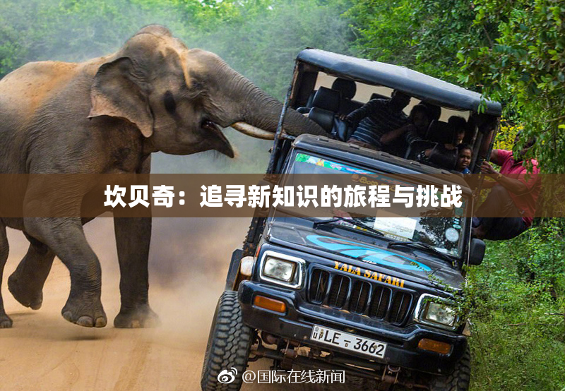 坎贝奇：追寻新知识的旅程与挑战