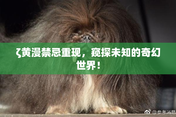 ζ黄漫禁忌重现，窥探未知的奇幻世界！