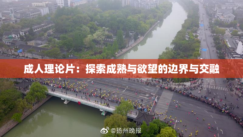 成人理论片：探索成熟与欲望的边界与交融