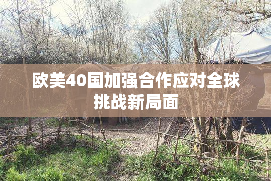 欧美40国加强合作应对全球挑战新局面