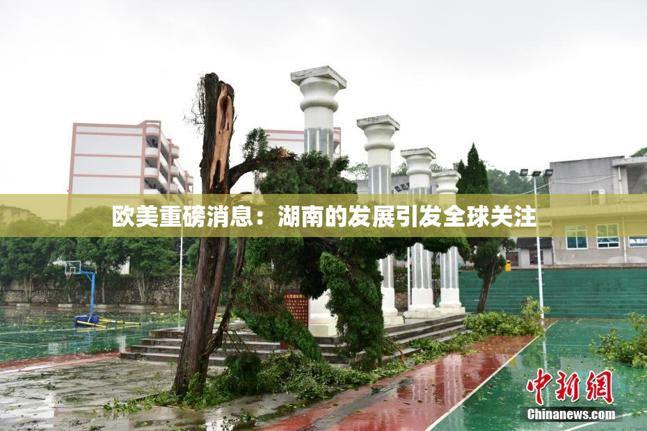 欧美重磅消息：湖南的发展引发全球关注
