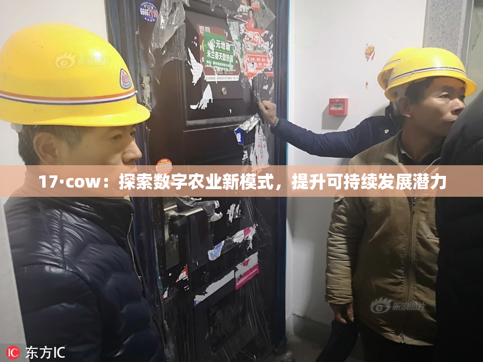 17·cow：探索数字农业新模式，提升可持续发展潜力