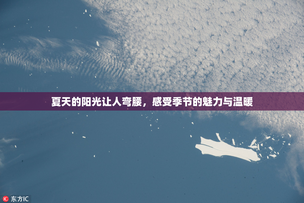 夏天的阳光让人弯腰，感受季节的魅力与温暖