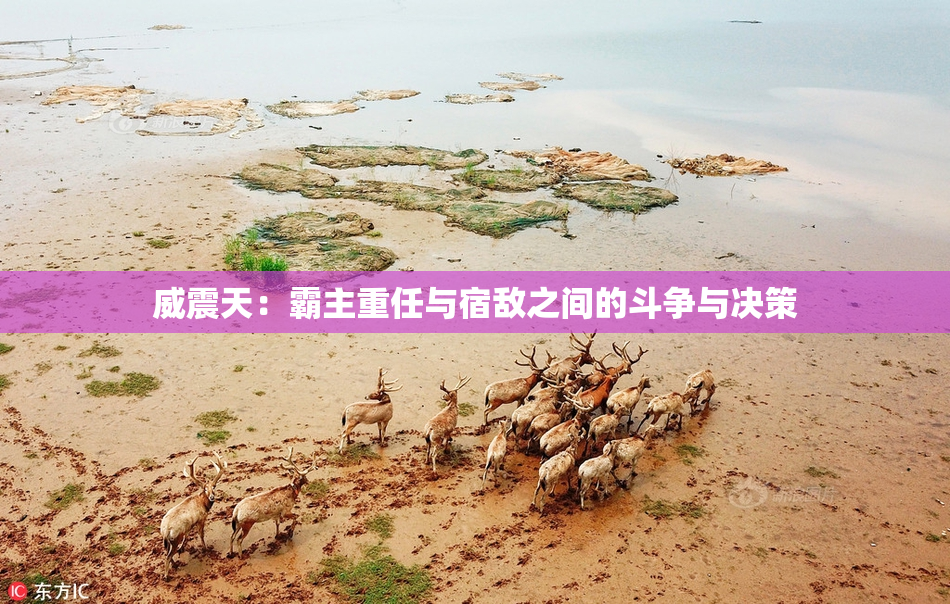 威震天：霸主重任与宿敌之间的斗争与决策