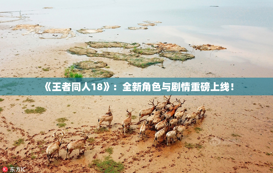 《王者同人18》：全新角色与剧情重磅上线！