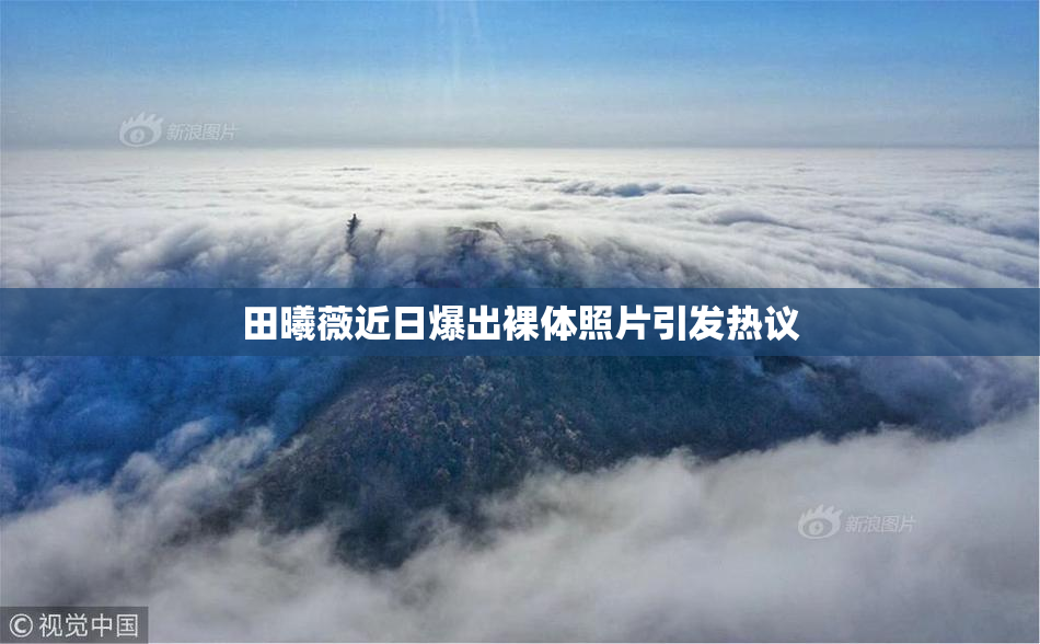 田曦薇近日爆出裸体照片引发热议