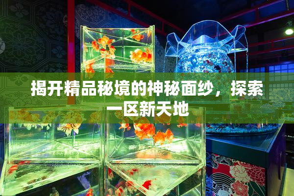 揭开精品秘境的神秘面纱，探索一区新天地