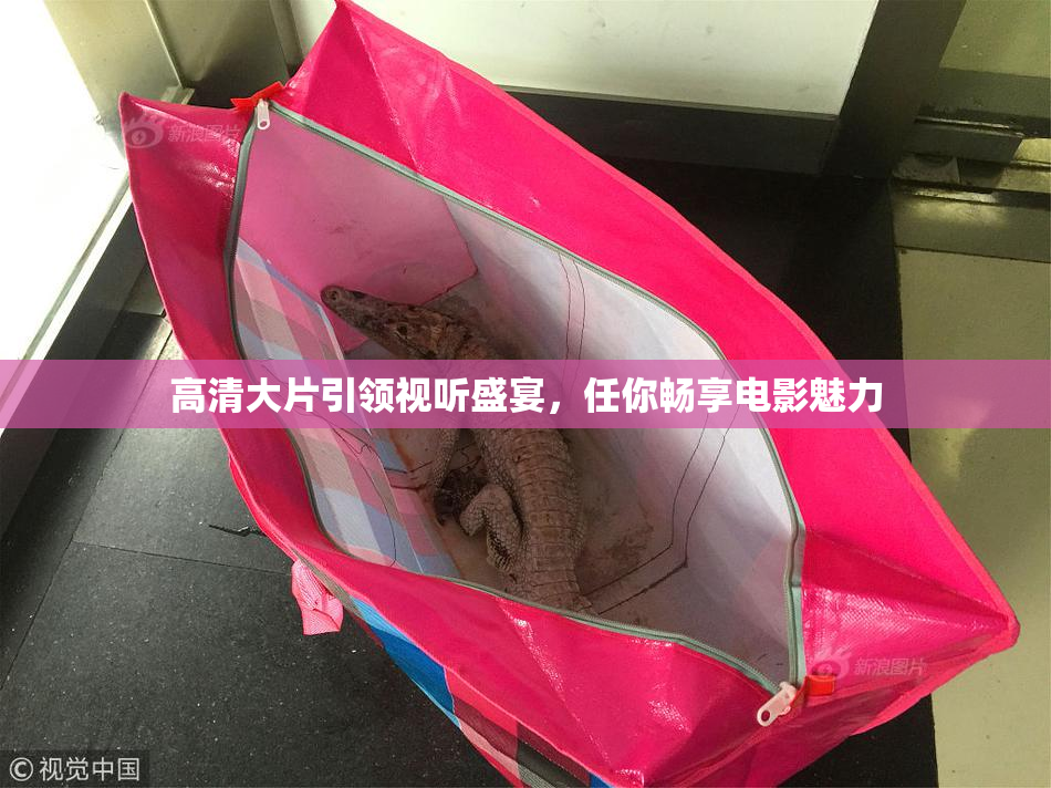 高清大片引领视听盛宴，任你畅享电影魅力