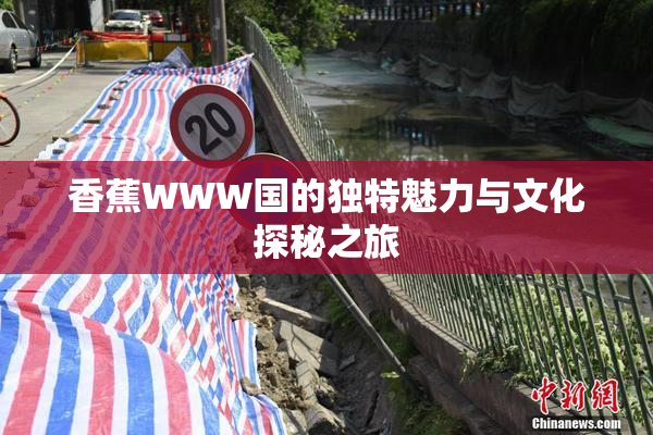 香蕉WWW国的独特魅力与文化探秘之旅