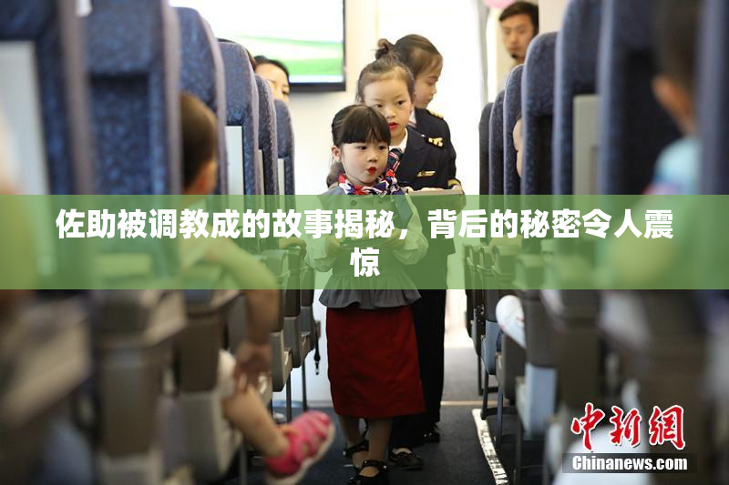 佐助被调教成的故事揭秘，背后的秘密令人震惊