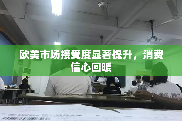 欧美市场接受度显著提升，消费信心回暖