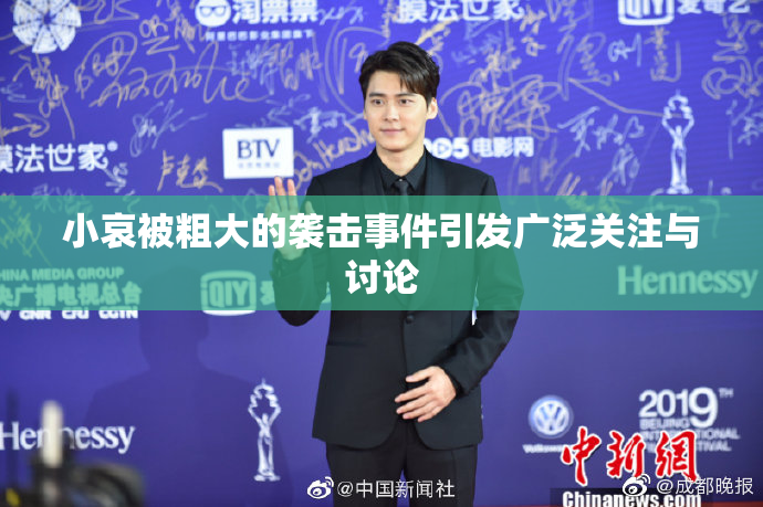 小哀被粗大的袭击事件引发广泛关注与讨论